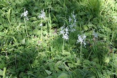 Killikus&reg; Fotographie